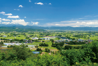 電池のプロフェッショナル集団